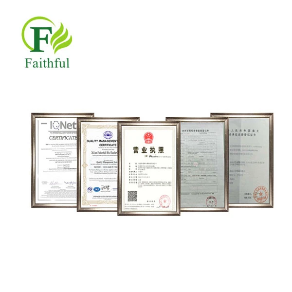 Faithful's Certificate