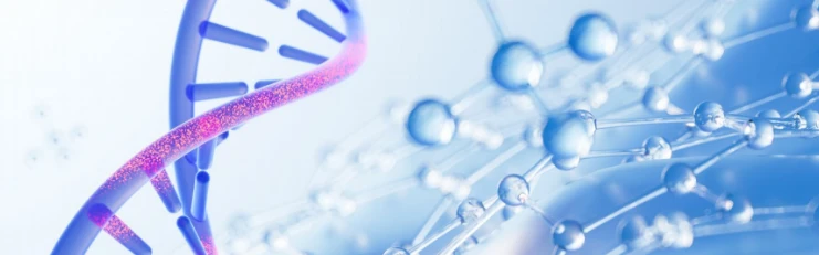 From neuroprotection to anti-aging Glyprolines family From neuroprotection to anti-aging Glyprolines family